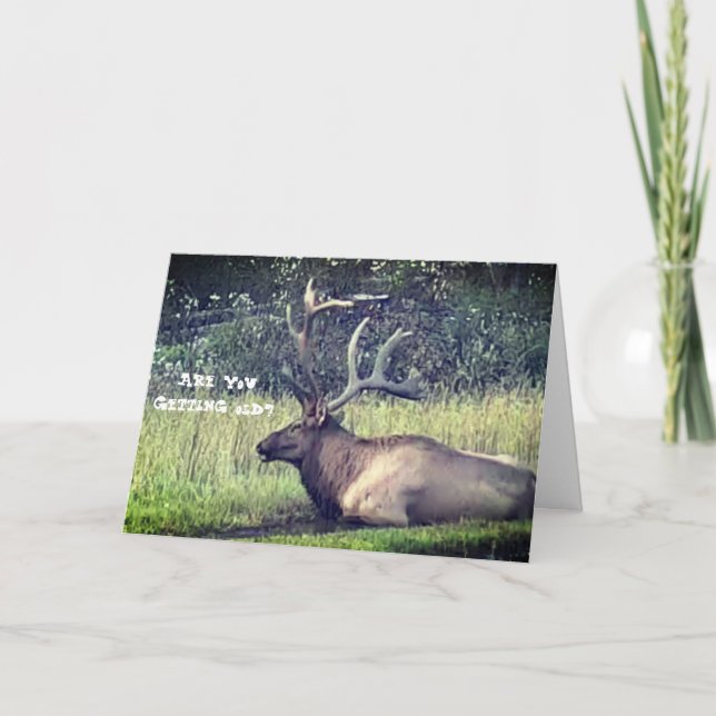 "Obtenant la vieille" carte d'anniversaire (Devant)