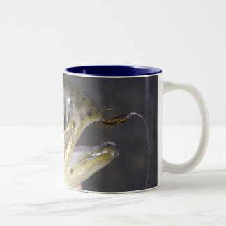 Obtenez accroché sur la pêche de mouche - tasse de