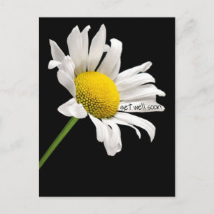 Obtenez Bien Bientôt Carte Postale Daisy