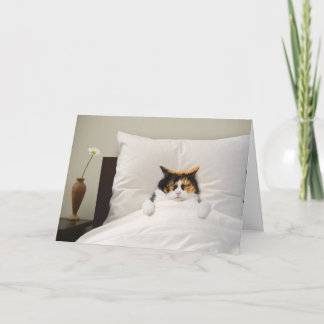 Obtenez Bien Carte Chat Drôle Mignonne Adorable Me