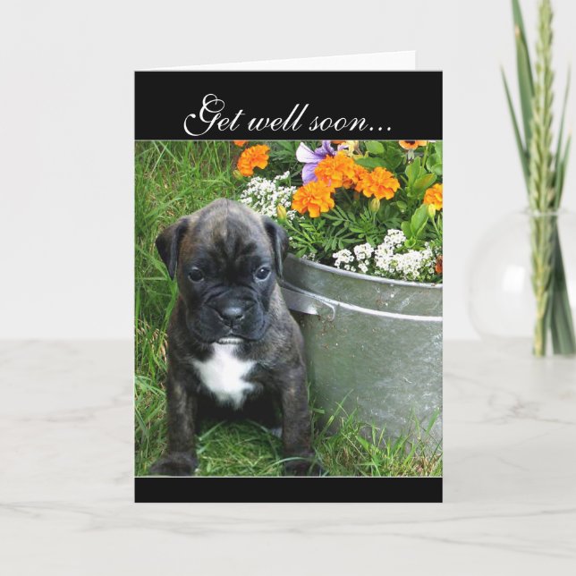 Obtenez bientôt Boxer chiot carte de voeux (Devant)
