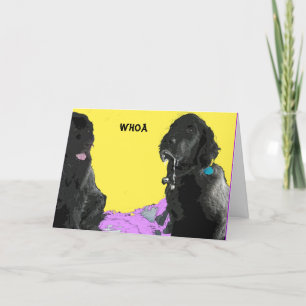 Obtenez bientôt la carte de voeux