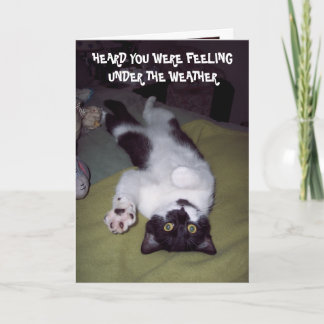 OBTENEZ LA CARTE DE BIEN