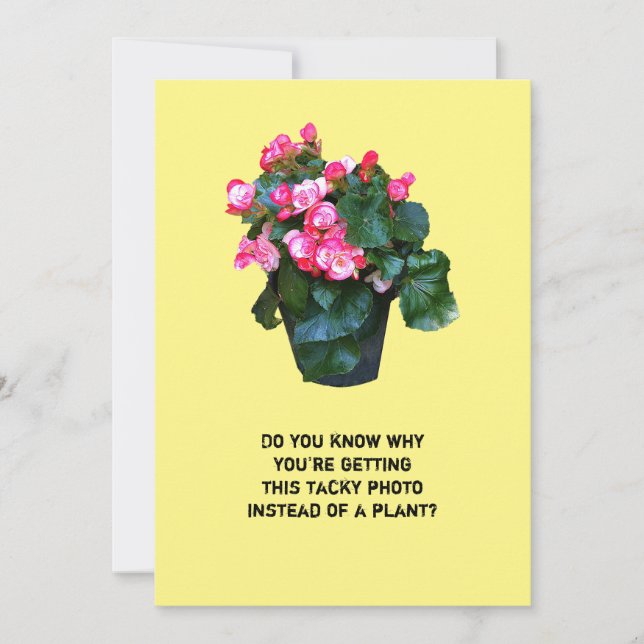 Obtenez un pot fleuri bien kitsch, une carte de vo (Devant)