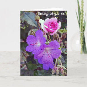 Obtenez une carte Soeur Récupération Bien Rapide