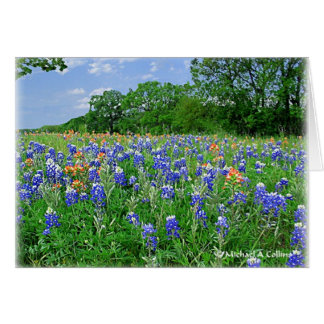 Obtenez votre coussin