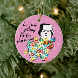 Obtenir Lit Llama Noël Lumière Ornement