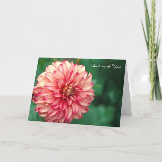 Obtenir une carte (Devant)