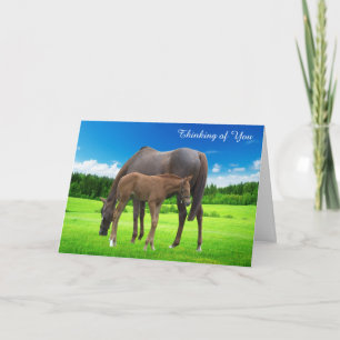 Obtenir une carte
