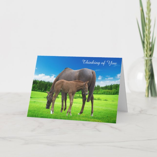 Obtenir une carte (Devant)