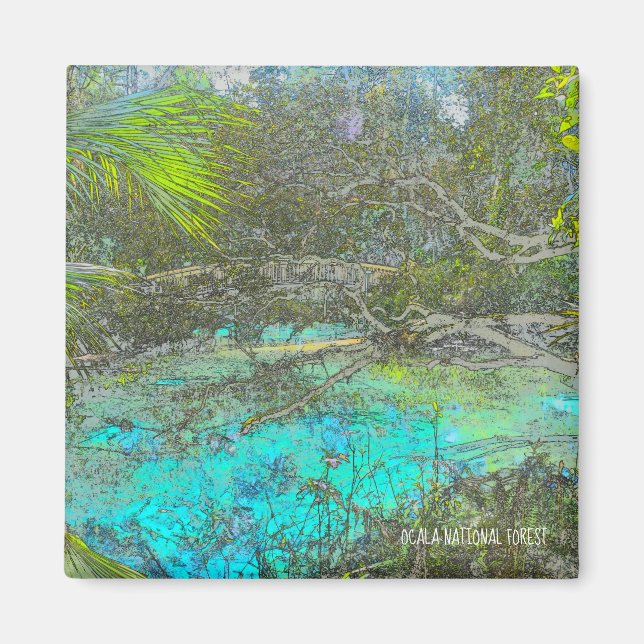 Ocala Forêt nationale Floride Magnet (Devant)