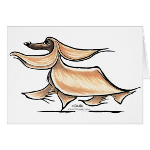 Occupé Afghan Hound