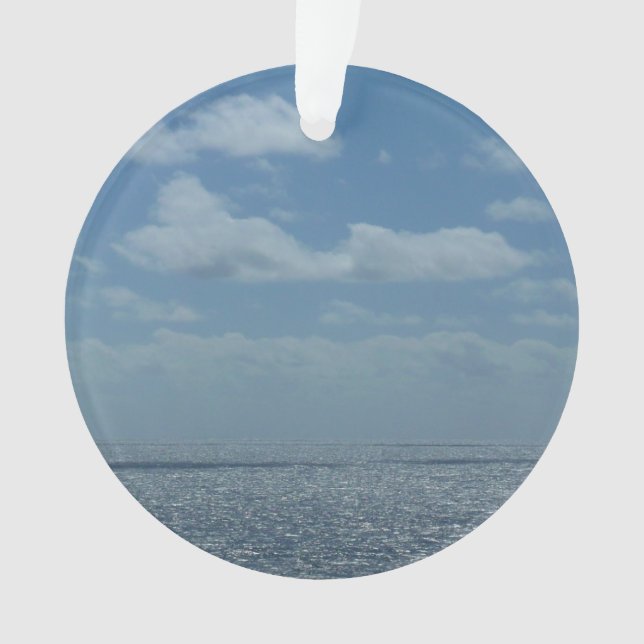 Océan bleu de la mer des Caraïbes (devant)