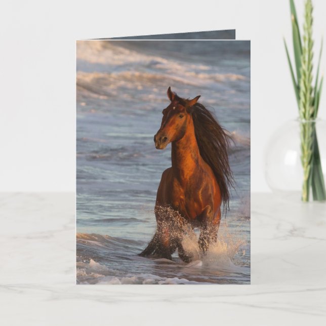 Ocean Horse at Sunset Horse Carte de voeux (Devant)