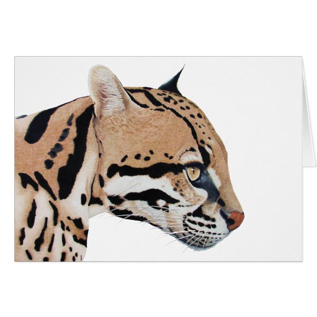 Ocelot (Devant horizontal)