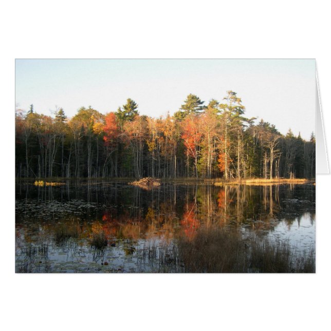 Octobre dans le New Hampshire (Devant horizontal)