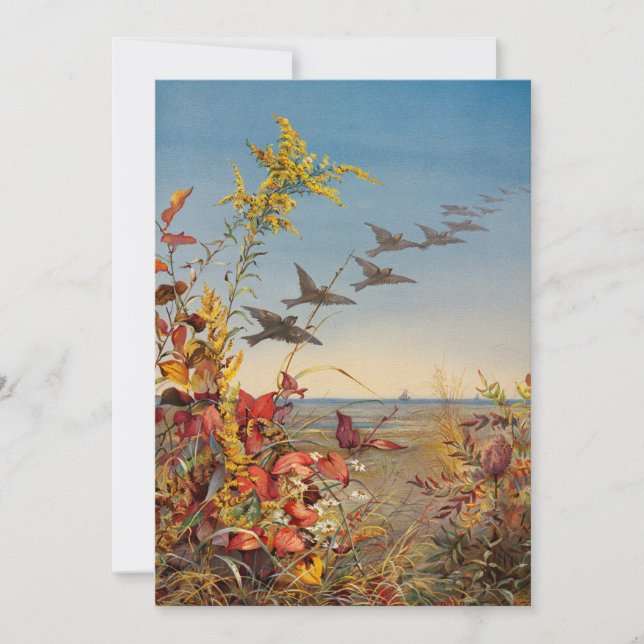 Octobre | Ponts Fidelia (Devant)