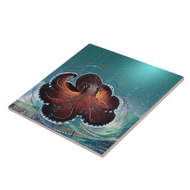 OCTOPUS - Carreaux en céramique (Côté)