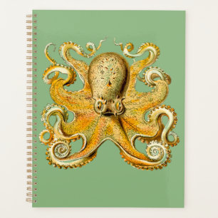 Octopus Gold et Blue Spiral Planner