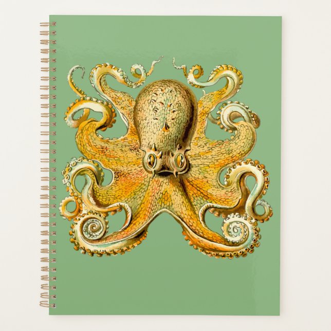 Octopus Gold et Blue Spiral Planner (Devant)