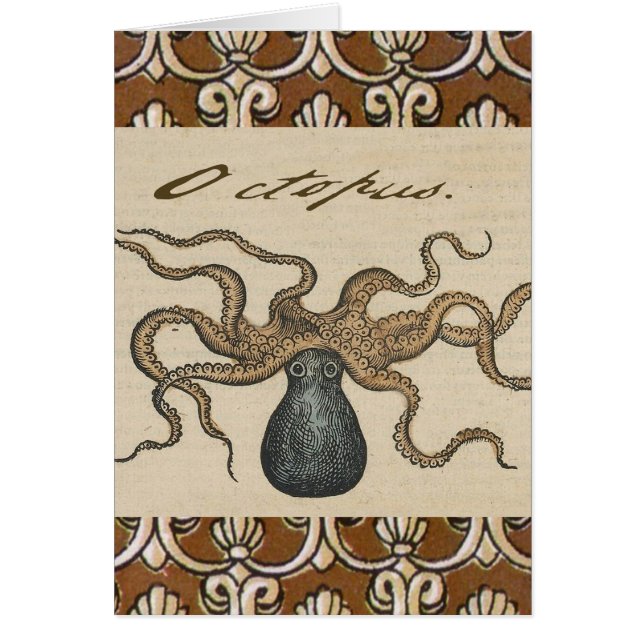 Octopus Kraken Illustration Vintage (Devant)
