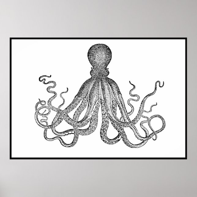 Octopus vintage En Blanc Et Noir Poster (Devant)