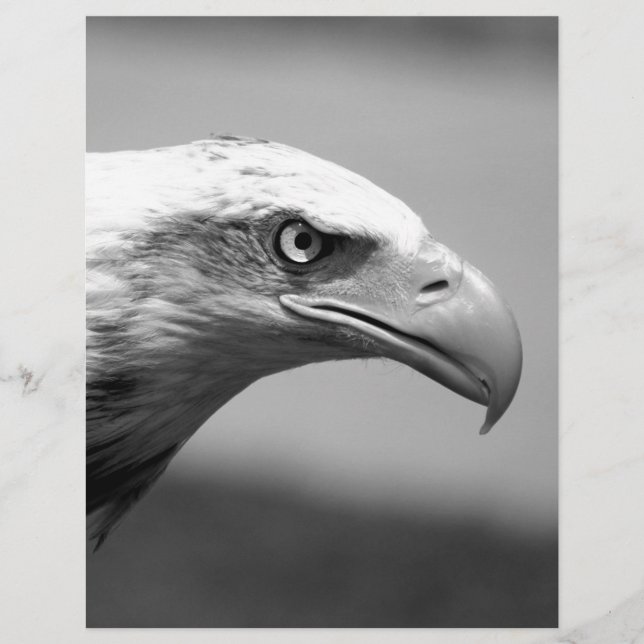 Oeil d'aigle noir et blanc (Devant)