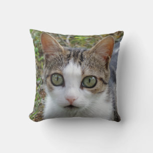 Oeil de chat Jeter Oreiller