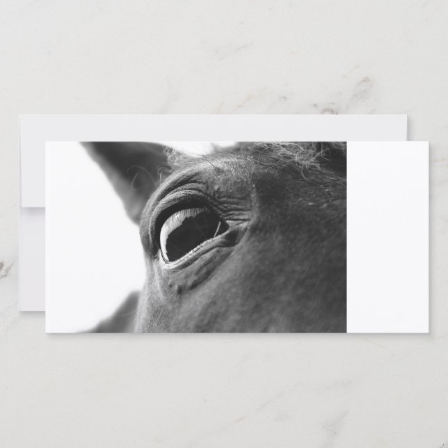 Oeil du poney 1 (Devant)