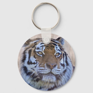 Oeil du porte-clés de tigre