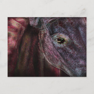 OEil du titulaire - Carte postale