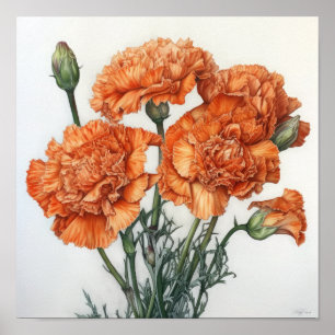 Oeillets Orange Flower Art Imprimer Poster
