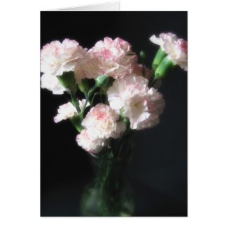 Oeillets presque blancs 2