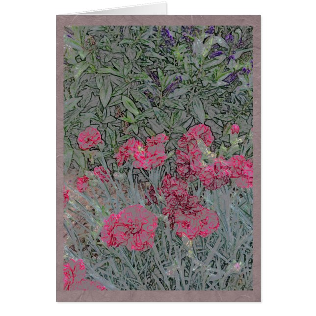 Oeillets roses dans un jardin d'été (Devant)