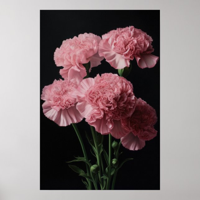 Oeillets roses Fleur Art Imprimer Poster (Devant)
