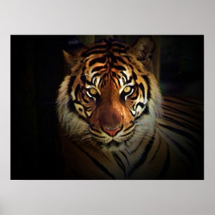OEils motivationnels du tigre dans l'ombre Poster 
