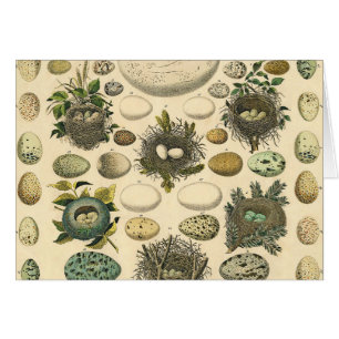 OEuf vintage Nid Art Peinture OEufs