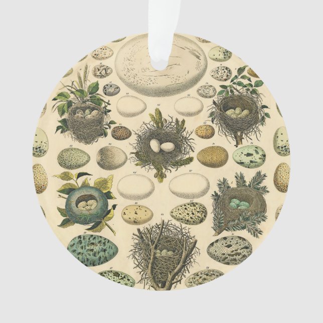 OEuf vintage Nid Art Peinture OEufs (devant)