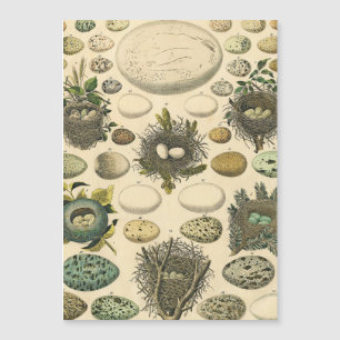 OEuf vintage Nid Art Peinture OEufs