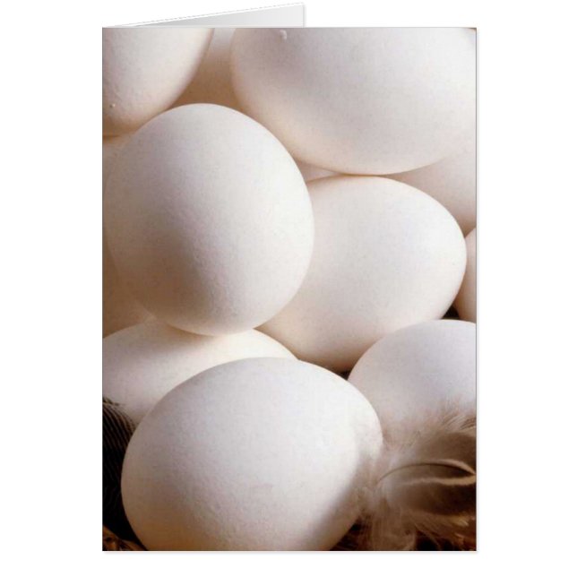 Oeufs (Devant)