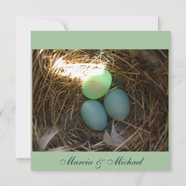 OEufs de bleuet trois fois (Devant)