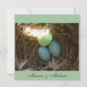 OEufs de bleuet trois fois