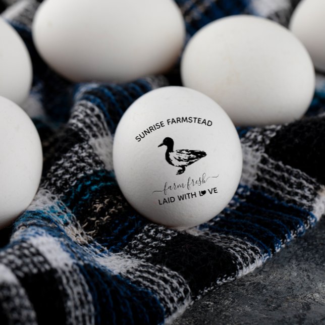 Oeufs de canard frais de la ferme |  Tampon à oeuf (Créateur téléchargé)