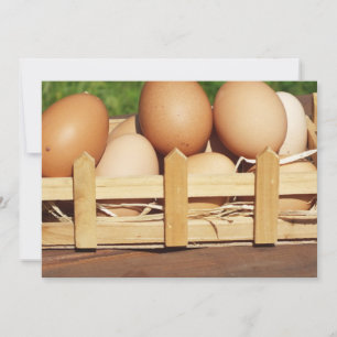 oeufs de poule naturels par pays