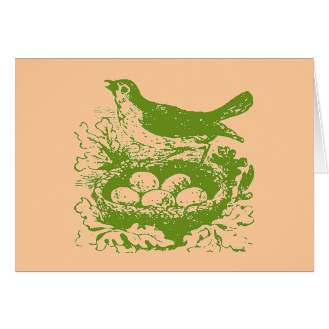 OEufs d'oiseaux Vintages et nid (Devant horizontal)