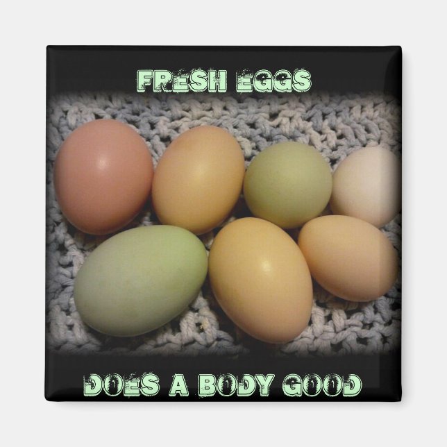 Oeufs Fait Un Corps Bon Magnet (Devant)