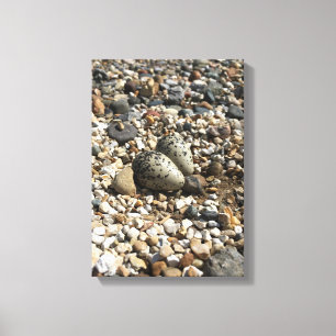 OEufs tueurs sur toile