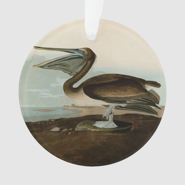 Œuvre d'art de Pélican Brun de John James Audubon  (devant)