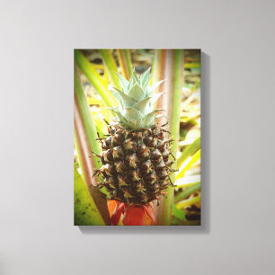 OEuvre d'art en toile d'ananas frais d'origine haw