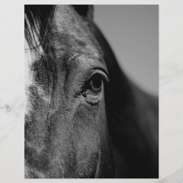 OEuvre d'oeil noir blanc (Devant)